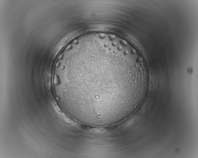 X0000113350994200909291050