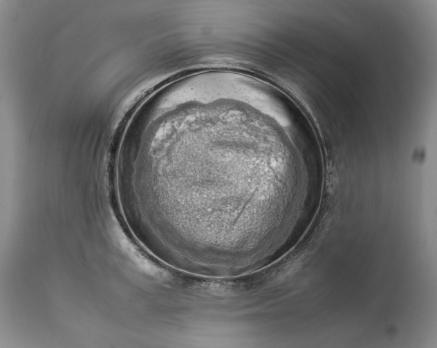 X0000113350995200909291050