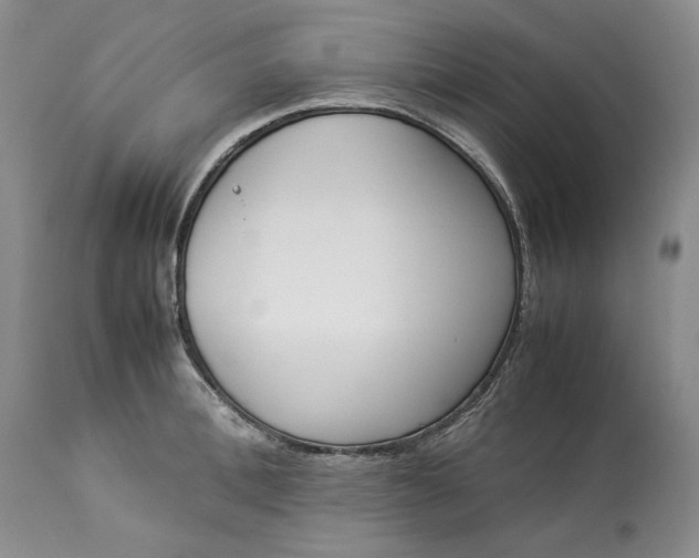 X0000113350996200909291050