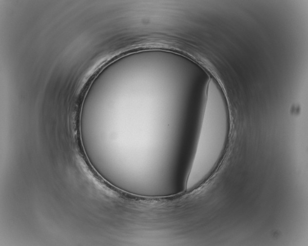 X0000113350997200909291050