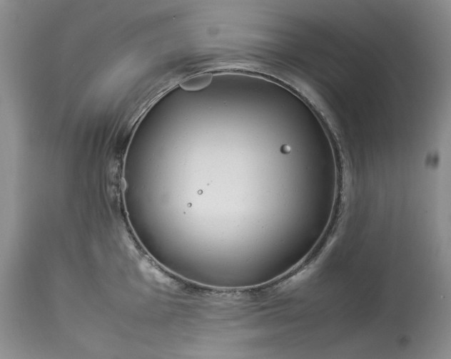 X0000113351001200909291050