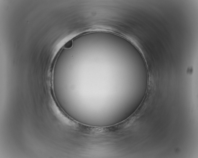 X0000113351003200909291050