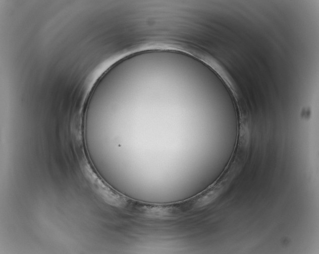 X0000113351004200909291050