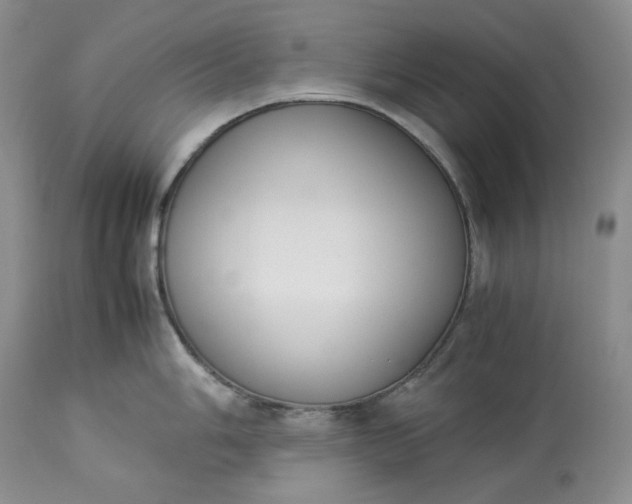 X0000113351006200909291050