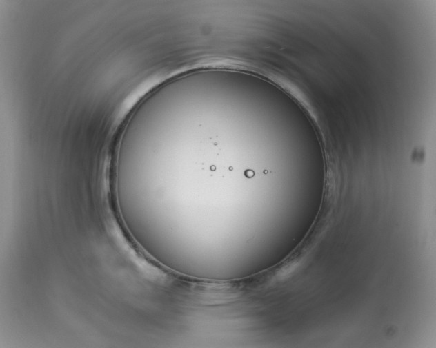 X0000113351007200909291050