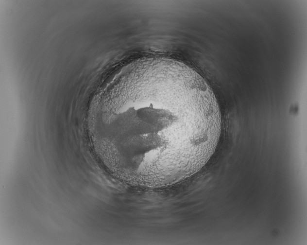 X0000113351009200909291049