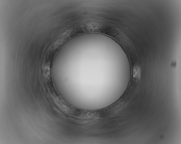 X0000113351011200909291049