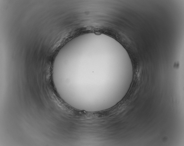 X0000113351012200909291049