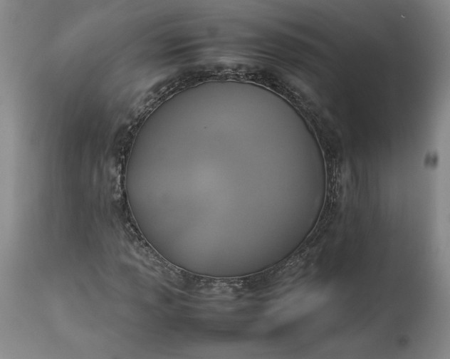 X0000113351013200909291049
