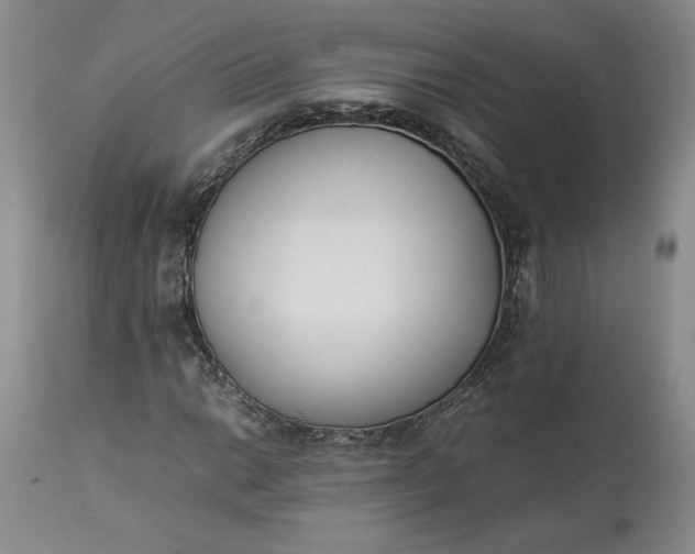 X0000113351014200909291049