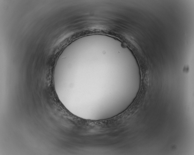 X0000113351015200909291049