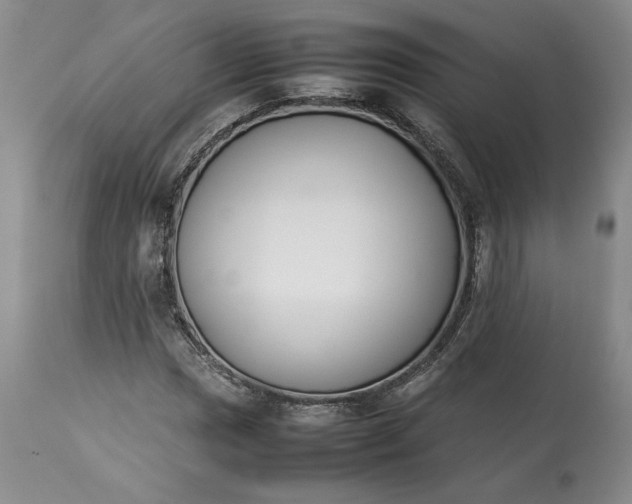 X0000113351017200909291049