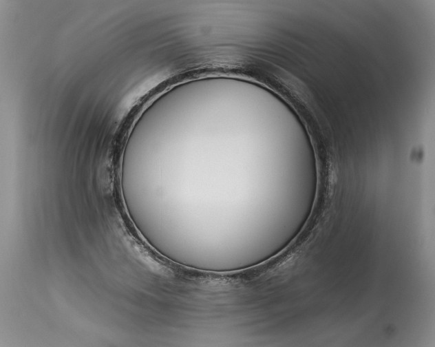 X0000113351018200909291049