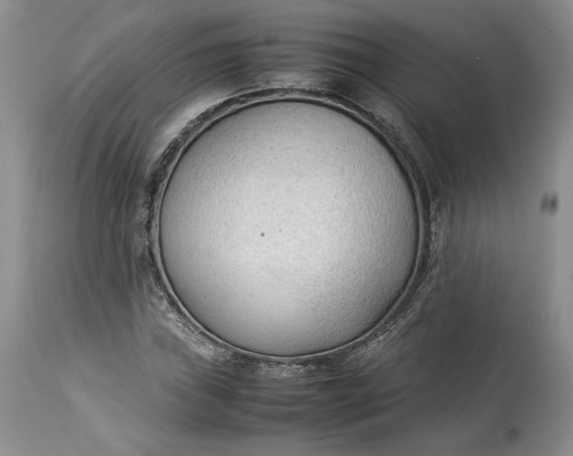 X0000113351019200909291049