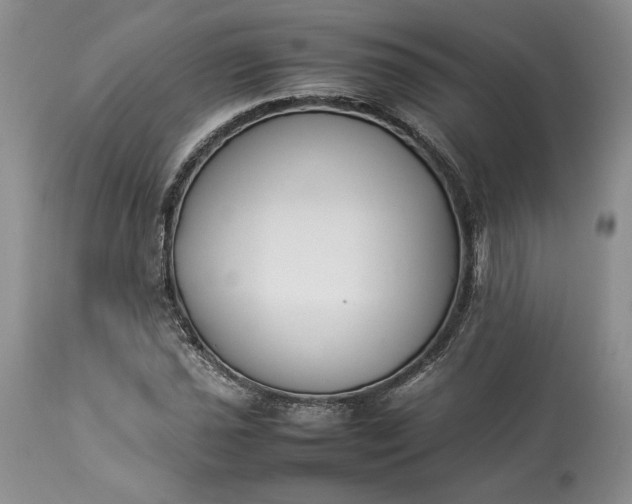 X0000113351021200909291049