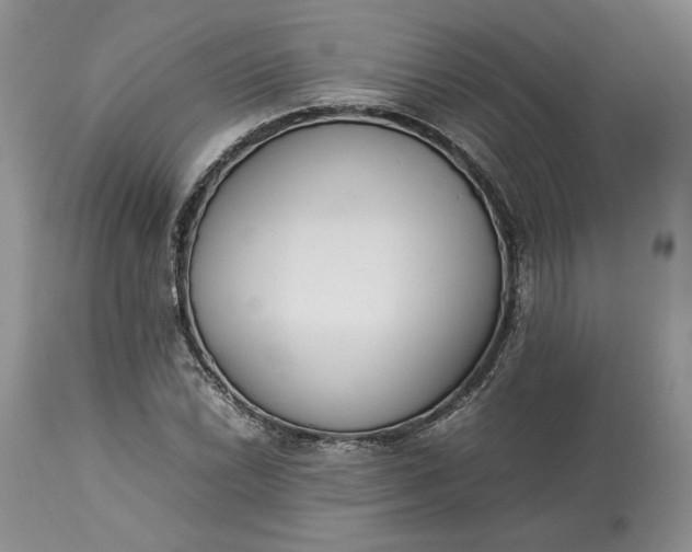 X0000113351022200909291050