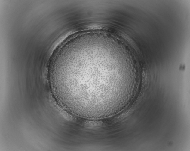 X0000113351023200909291050
