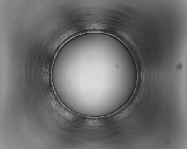 X0000113351025200909291050