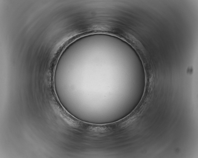 X0000113351027200909291050