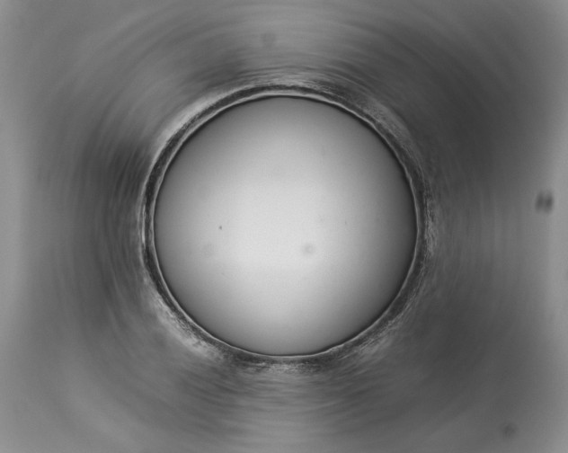 X0000113351028200909291050