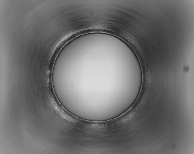 X0000113351029200909291050