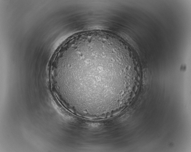 X0000113351031200909291050