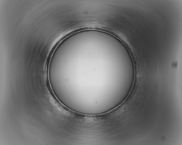X0000113351032200909291050
