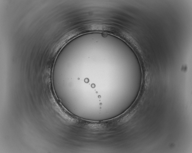 X0000113351033200909291050