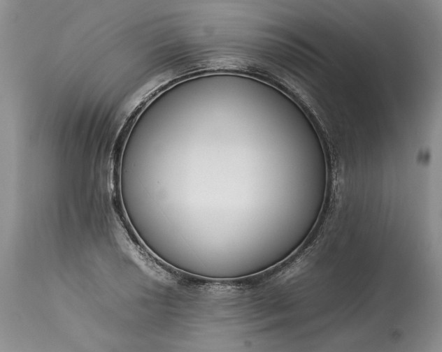 X0000113351034200909291050