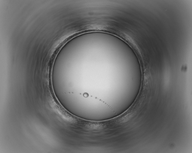 X0000113351035200909291050