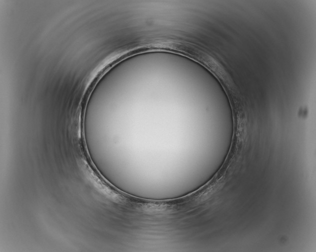 X0000113351036200909291050