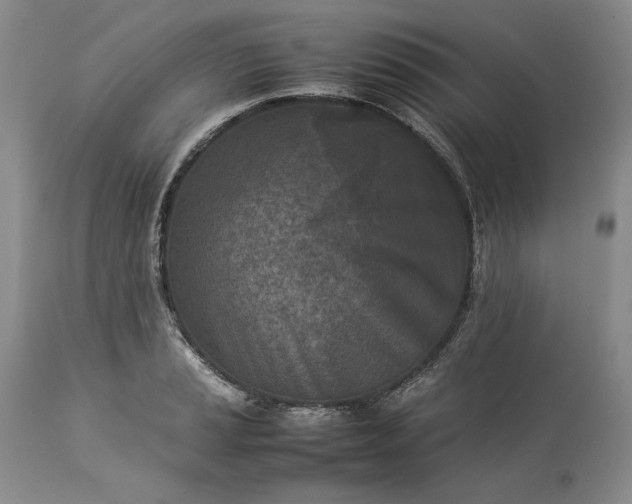 X0000113351037200909291050