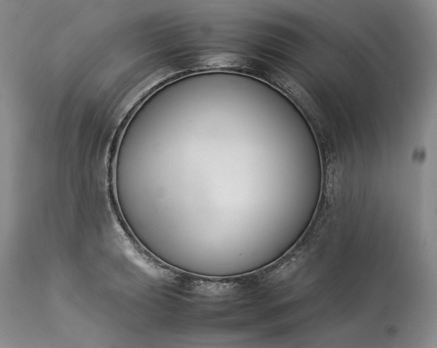 X0000113351039200909291050