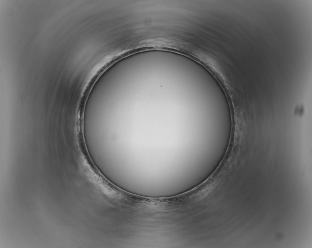 X0000113351040200909291050