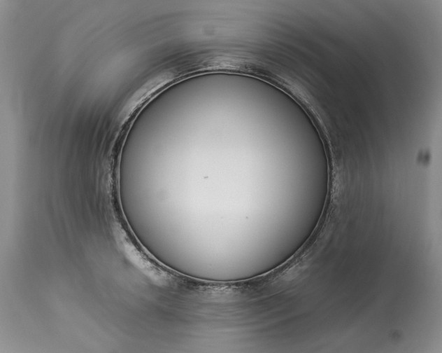X0000113351042200909291050