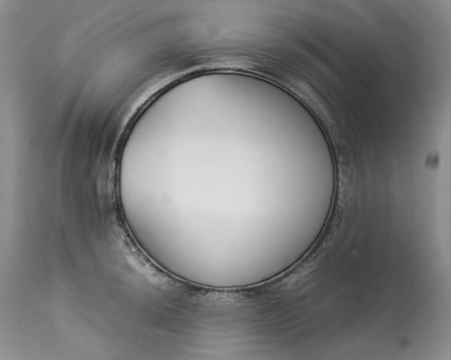 X0000113351044200909291050