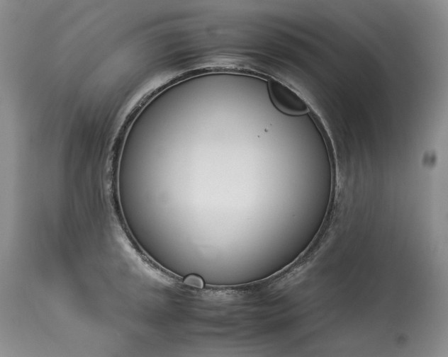 X0000113351045200909291050
