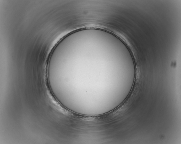 X0000113351048200909291050