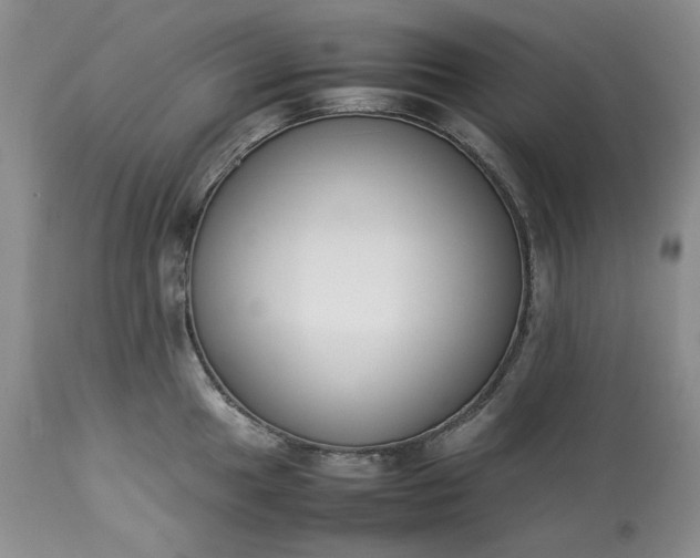 X0000113351049200909291050