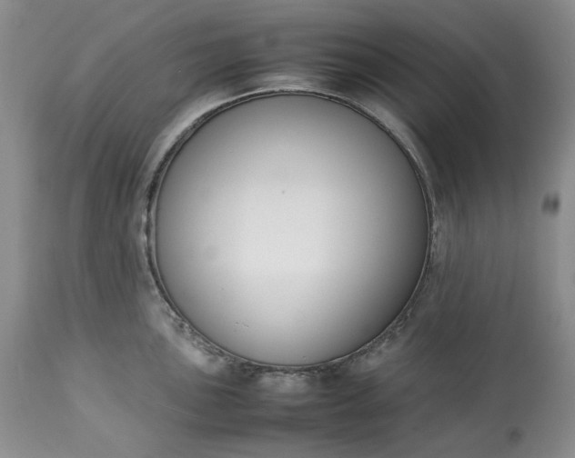 X0000113351051200909291050