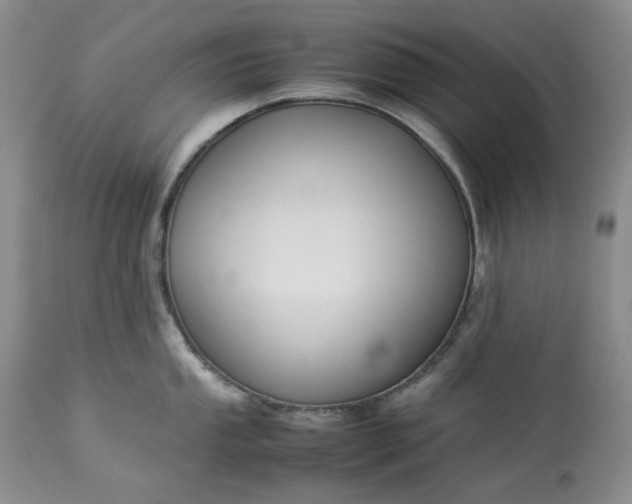 X0000113351053200909291050