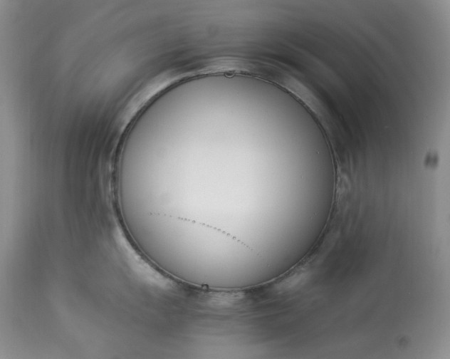 X0000113351055200909291050