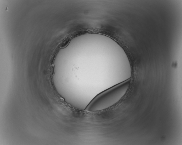 X0000113351057200909291049