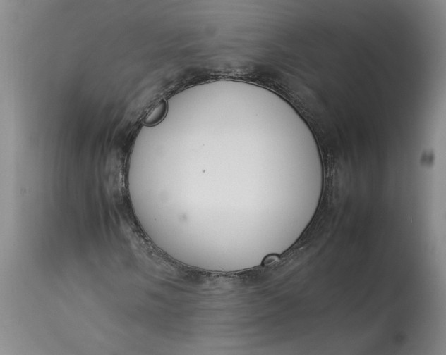 X0000113351058200909291049