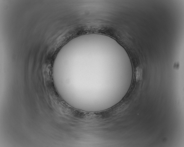 X0000113351059200909291049