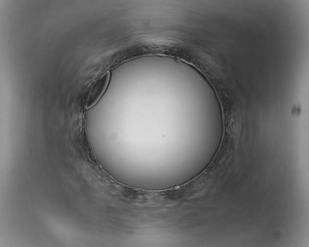 X0000113351061200909291049