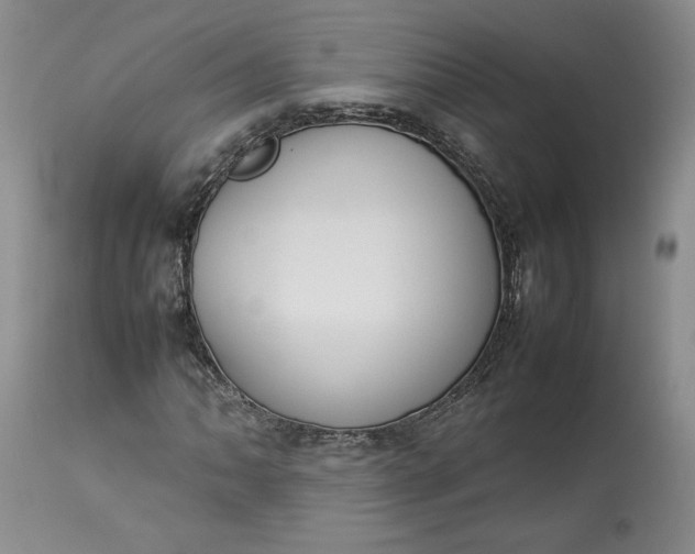X0000113351062200909291049