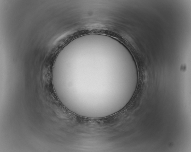 X0000113351063200909291049