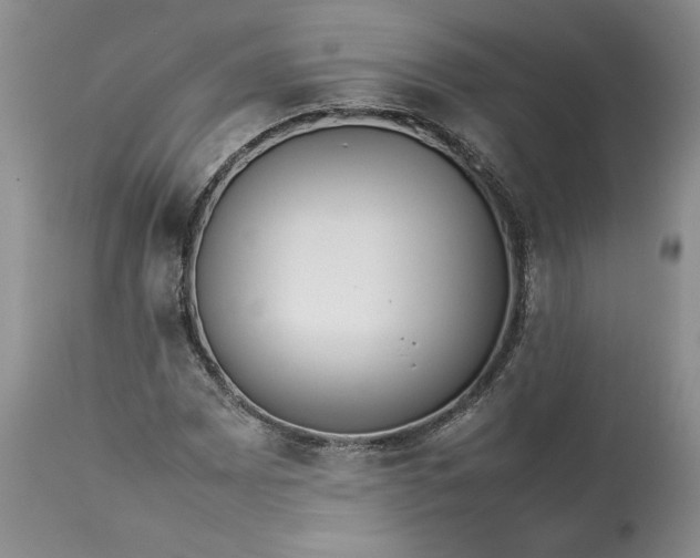 X0000113351065200909291049
