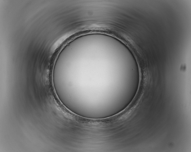 X0000113351066200909291049